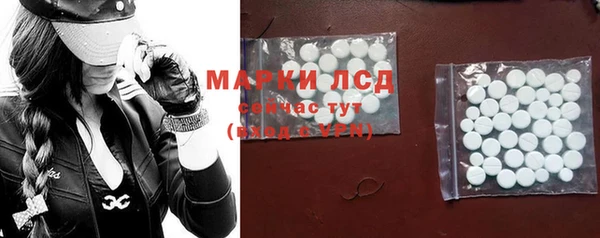 крисы Гусев