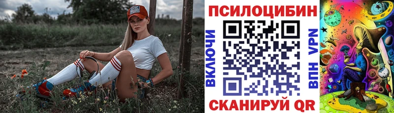Псилоцибиновые грибы GOLDEN TEACHER  Купить закладки  Уяр 