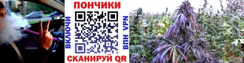 Купить закладки  Уяр  МАРИХУАНА SATIVA & INDICA 